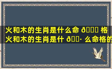 火和木的生肖是什么命 🕊 格「火和木的生肖是什 🌷 么命格的人」